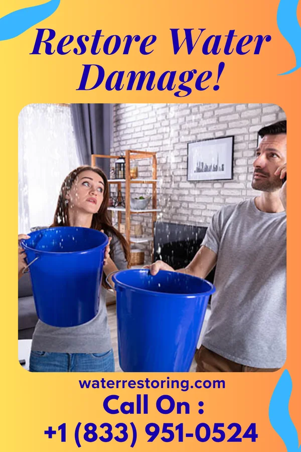 water restoration Total Restoration Company Sandy Hollow-Escondidas